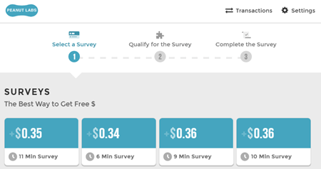 peanutlabs surveys